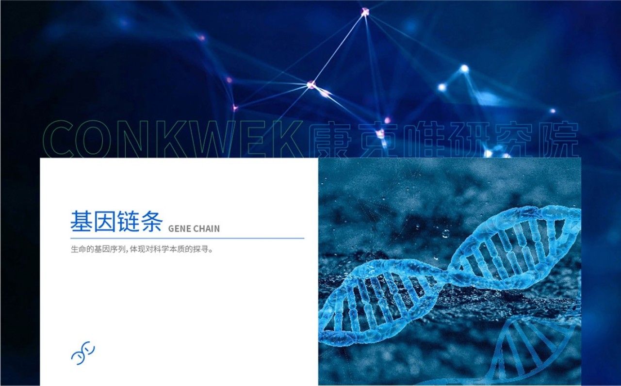 康克唯研究院|品牌视觉全案设计 品牌视觉 / 品牌全案案例展示图4 王双品牌设计