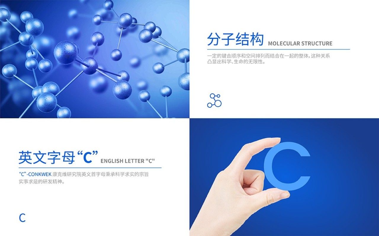 康克唯研究院|品牌视觉全案设计 品牌视觉 / 品牌全案案例展示图5 王双品牌设计