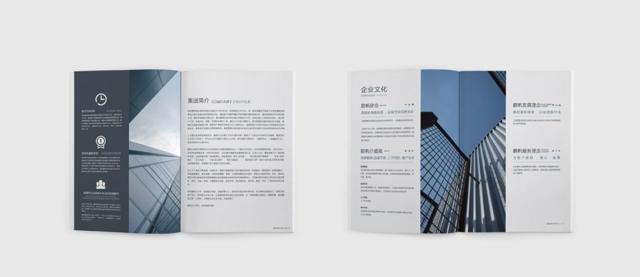 鹏帆建设|品牌全案策划设计 品牌视觉 / 品牌全案案例展示图6 王双品牌设计