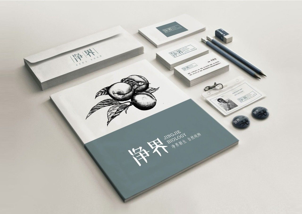 净界｜品牌VI设计 品牌视觉案例展示图6 王双品牌设计