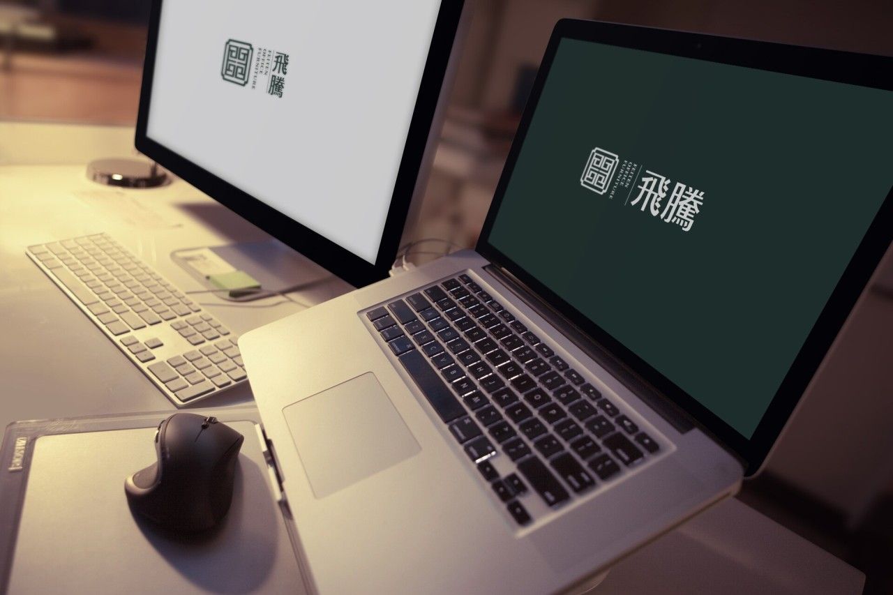 飞腾｜品牌VI设计 品牌视觉案例展示图3 王双品牌设计