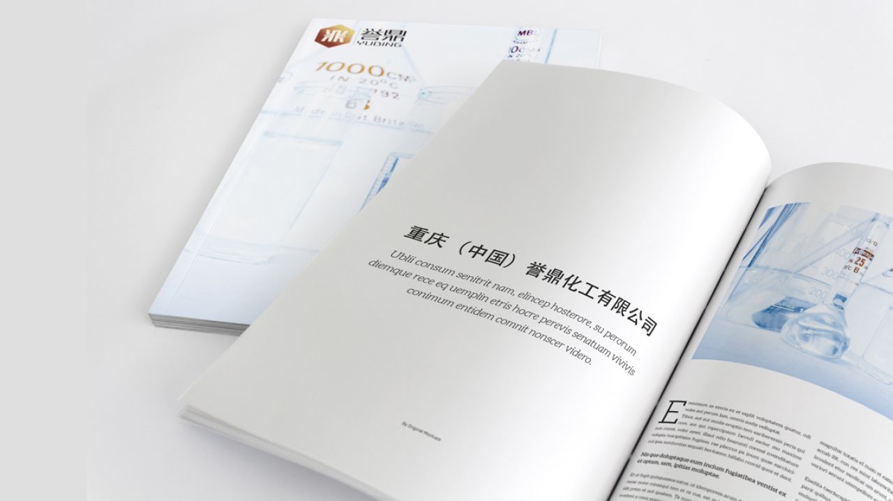 誉鼎｜品牌VI设计 品牌视觉案例展示图4 王双品牌设计