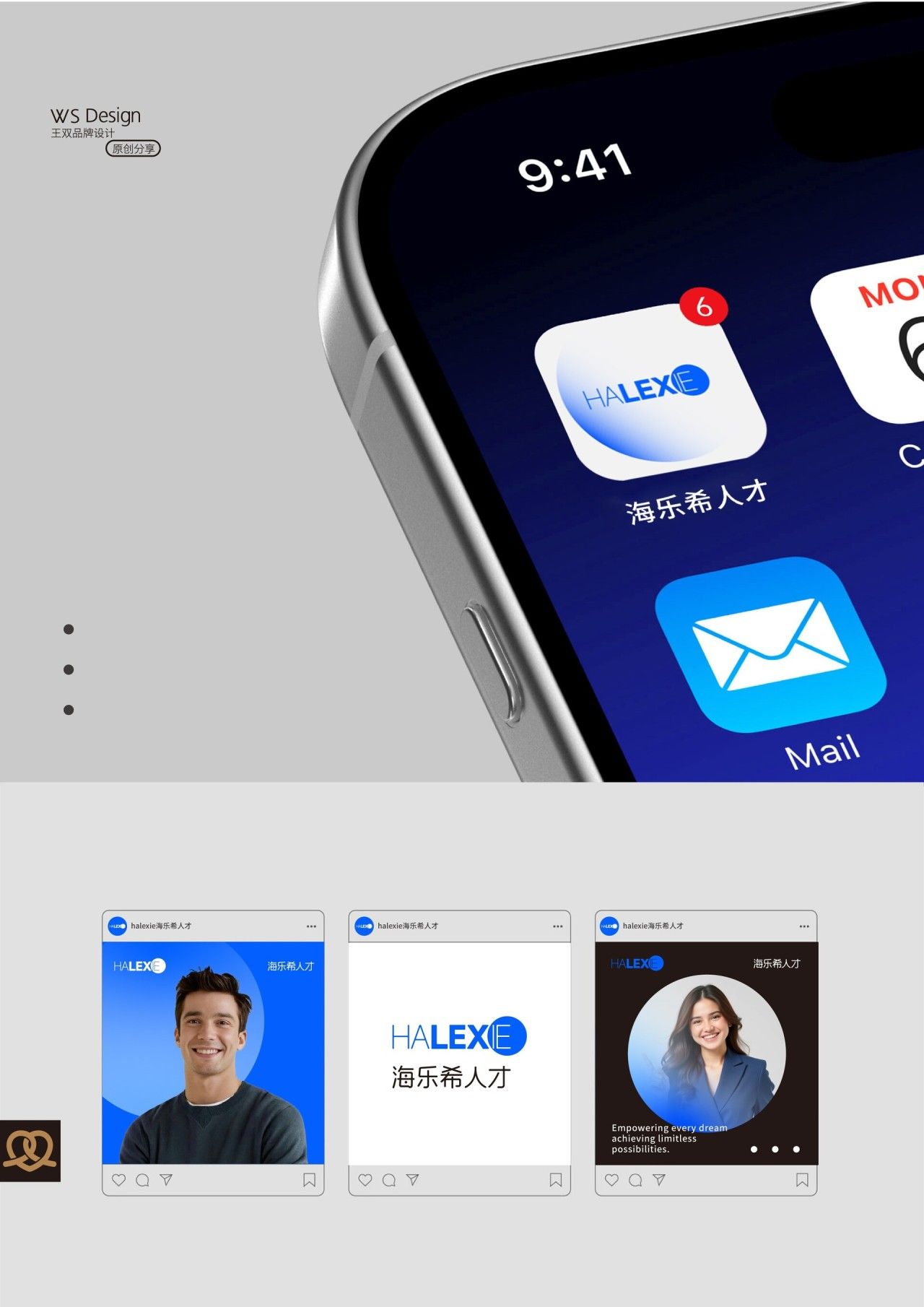 海乐希|品牌VI设计 品牌全案 / 品牌视觉案例展示图4 王双品牌设计