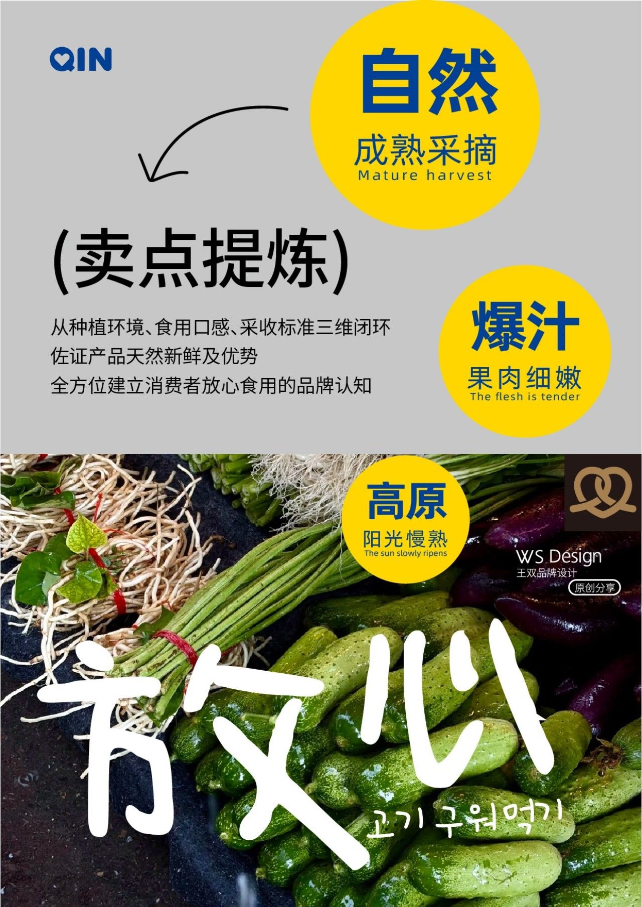 阿亲家|品牌全案升级设计 品牌全案 / 品牌视觉案例展示图2 王双品牌设计