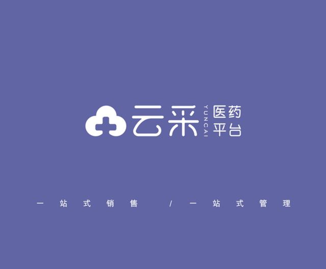 云采科技 品牌视觉案例 王双品牌设计