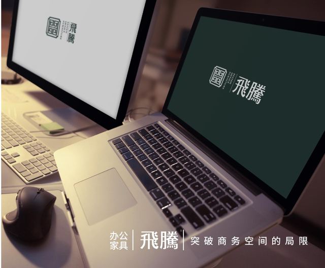 飞腾｜品牌VI设计 品牌视觉案例 王双品牌设计