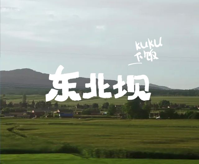 东北坝|品牌全案设计 品牌视觉案例 王双品牌设计